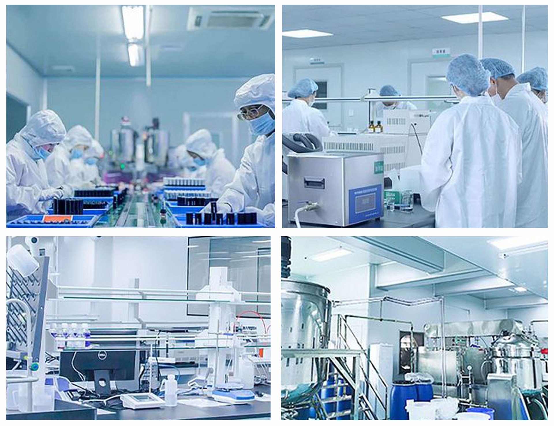 Professional Technical Team